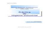 Practicas de Higiene y Seguridad Industrial