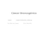 Cancer Broncogenico