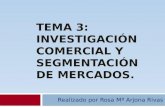 TEMA 3 INVESTIGACION COMERCIAL Y SEGMENTACION DE MERCADOS- ROSA Mª ARJONA RIVAS