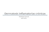 Dermatosis inflamatorias crónicas