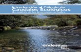 Introducción al Cálculo de Caudales Ecologicos - Endesa