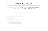 DERECHO PROCESAL CIVIL PRÁCTICA 223