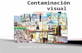 Investigación de Contaminacion Visual