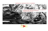 Análisis Guerrilla Guatemalteca en Imágenes
