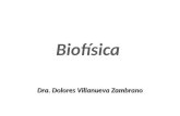 Biofisica Intro 2010