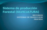 Sistema de producción Forestal (SILVICULTURA)
