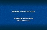 Serie Eritroide Hemoglobina- Estructura y Funcion