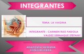 Diapositivas de Vagina