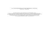 La Remuneracion Minima Legal en El Peru - Criterios de Determinacion