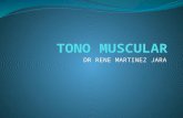 Tono Muscular