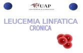 Leucemia linfatica Cronica