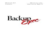 Backup Exec-respaldo de La Bd SQL
