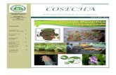 Revista Cosecha- Colegio de Ciencias Agrícolas