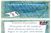 División de fonética J Roca-Pons
