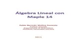 Algebra Lineal Con Maple Fabio Molina