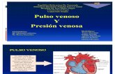 Pulso Venoso y Presion Venosa Central