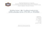 Informe de Lab Oratorio Pam y Pcm (2)