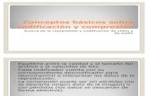 Conceptos básicos sobre codificación y compresión