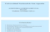 Auditoria Gubernamental (1)