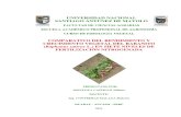 Comparativo Del Rendimiento de Rabanito Con Siete Niveles de Fertilizacion Nitrogenda