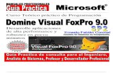 Experto en Visual Foxpro 9 SP2
