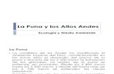 La Puna y Los Altos Andes 3.5.