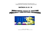 Modulo 9 Auditoria Para El Sector Publico y Empresas Privadas