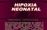 Hipoxia Neonatal