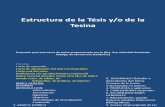 02 Estructura de La Tesis o Tesina