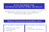 Factores de Formacion Del Suelo 20111