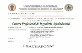 MyPES de La Region Amazonas - Informe de Campos II Unidad