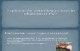 Exploración neurológica nervio olfatorio (I PC)