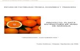 Estudio e ad de Jugo de Naranja