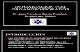 Intoxicación por Organofosforados