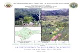 La deforestación en la region Loreto
