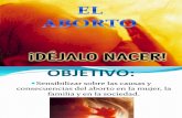 Diapositivas Para Exp El Aborto
