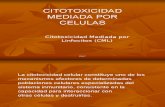 Citotoxicidad Mediada Por Linfocitos