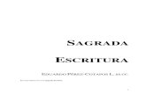 Introducción a la Sagrada Escritura - Eduardo Pérez Cotapos