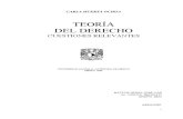 49895189 Teoria Del Derecho Huerta Ochoa Carla
