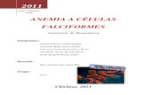 Anemia a Células Falciformes