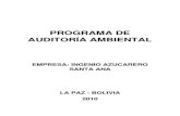 Auditoria Ambiental Empresa Azucarera[1]