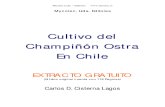 Libro Cultivo Hongo Ostra en Chile