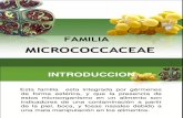 Cap 10 Familia Micrococcaceae 2011[1]