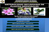 Metabolismo Secundario por Q.F. Marilú Roxana Soto Vásquez