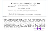 Fisiopatología de la drepanocitosis