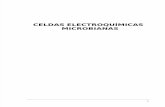 Informe Celdas Electroquimicas as