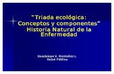 Triada Ecologica Historia Natural de La Enfermedad