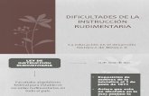 DIFICULTADES DE LA INSTRUCCIÓN RUDIMENTARIA