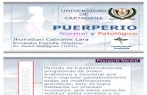 Puerperio Normal y Patologico 119802309093860 5