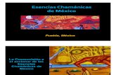 53660085 Esencias Chamanicas de Mexico